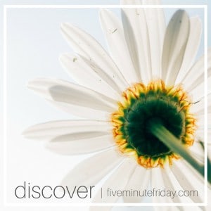 What Have You Discovered?