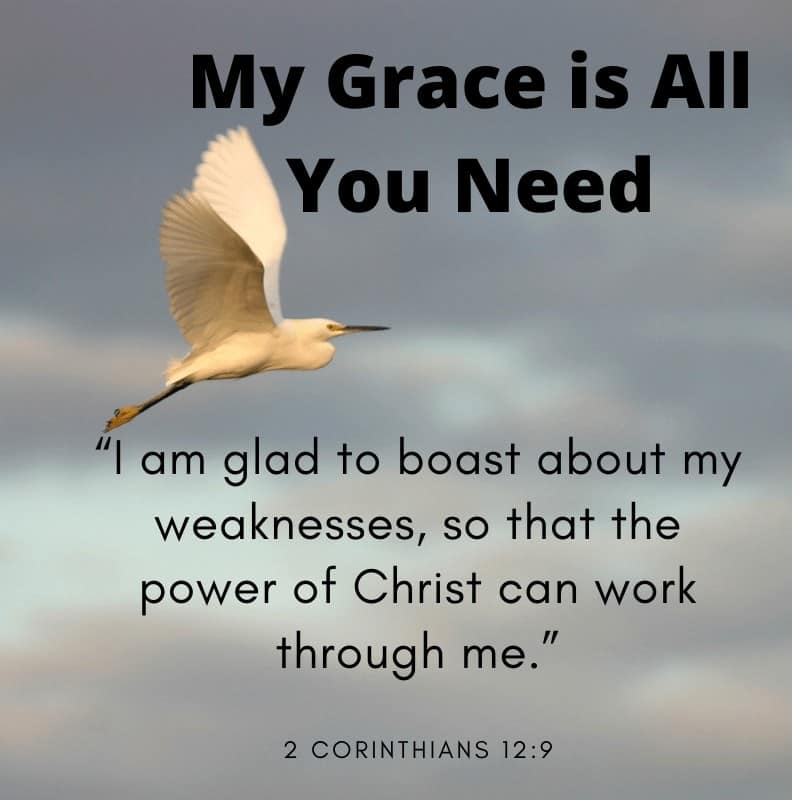 2 corinthians 12:9  My Grace is all you need