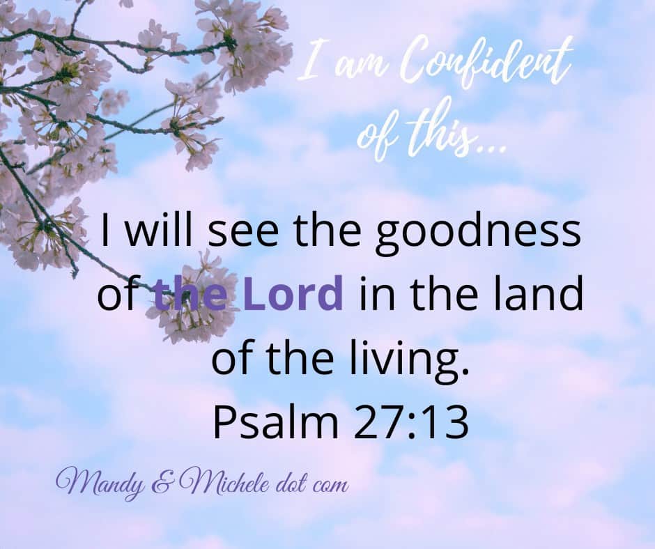 scripture confidence psalm 27:13