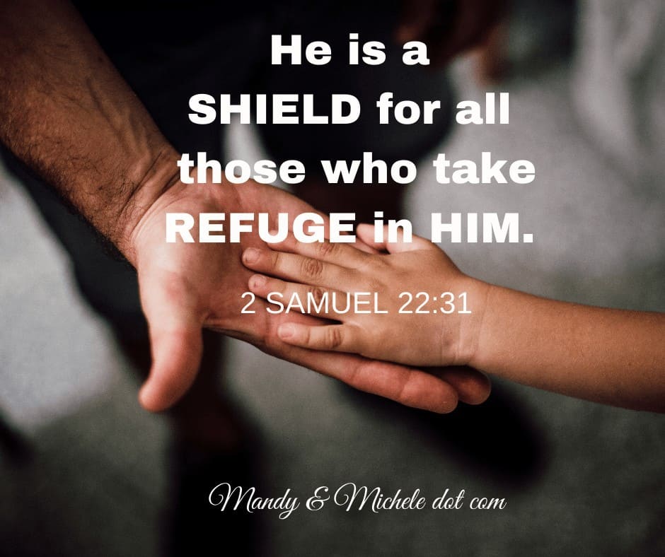 2 Samuel 22:31 refuge