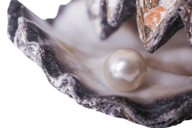 pain becomes a pearl.