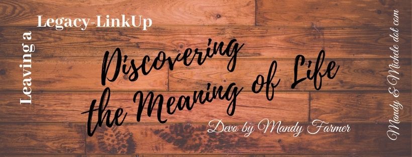 discover the meaning of life